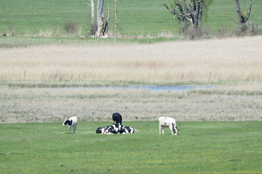 Unterwegs am Stausee Kelbra