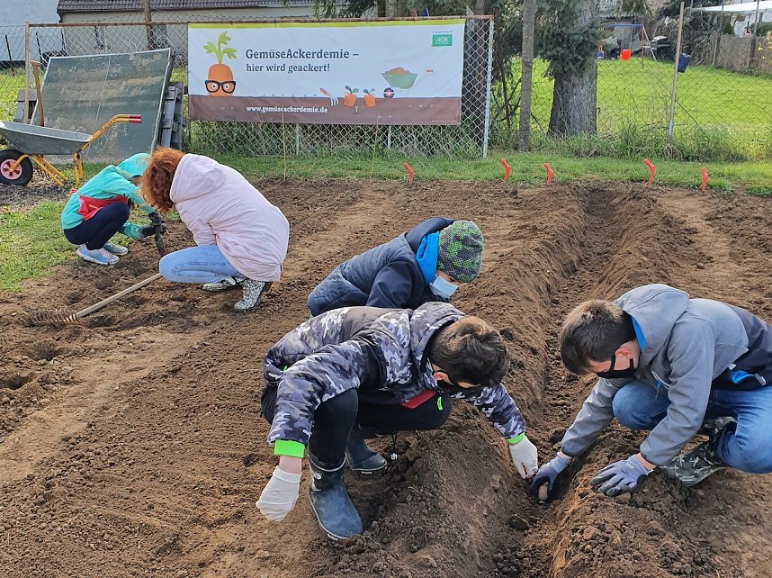 Gem&uuml;se-Ackerdemie