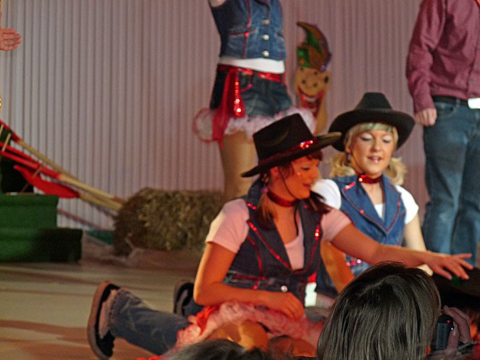 Rentnerfasching bei Gr&uuml;n-Wei&szlig;