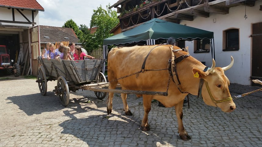 Ferien auf dem Erlebnisbauernhof Kleinberndten