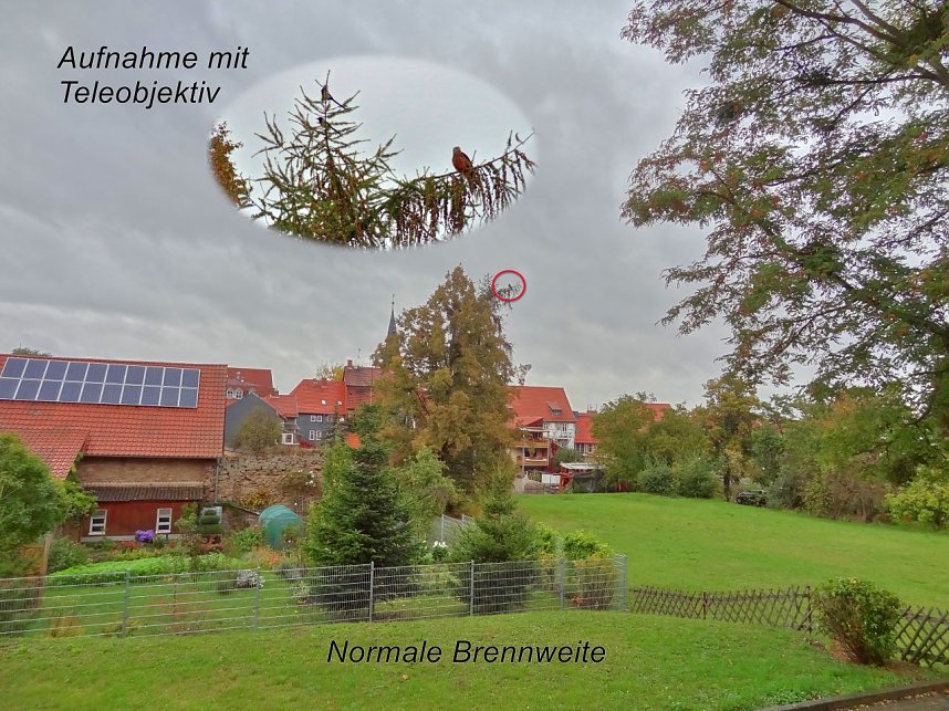 Blick aus dem K&uuml;chenfenster