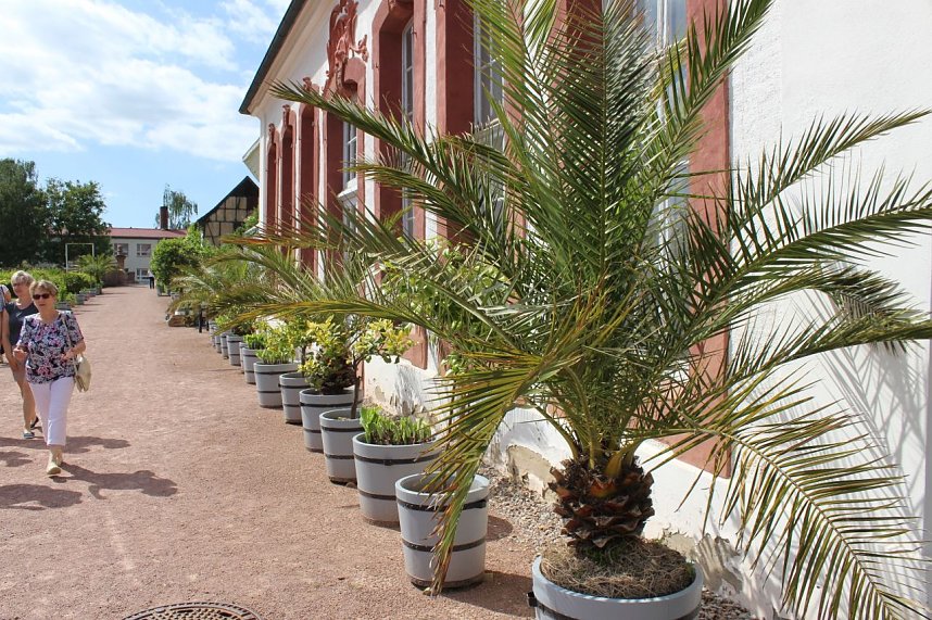 Sonntagsbesuch in der Orangerie in Bendeleben
