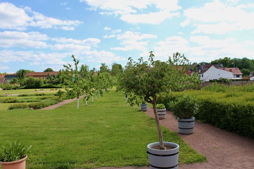Sonntagsbesuch in der Orangerie in Bendeleben