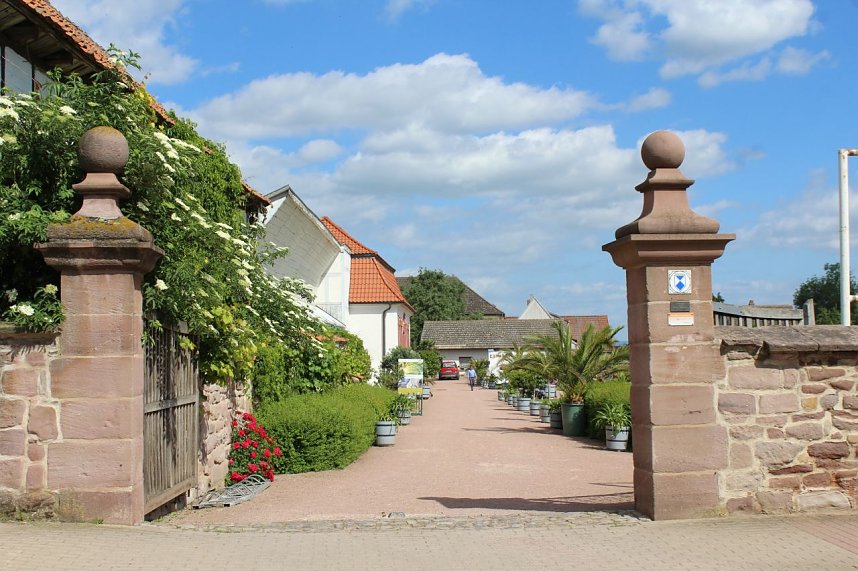 Sonntagsbesuch in der Orangerie in Bendeleben