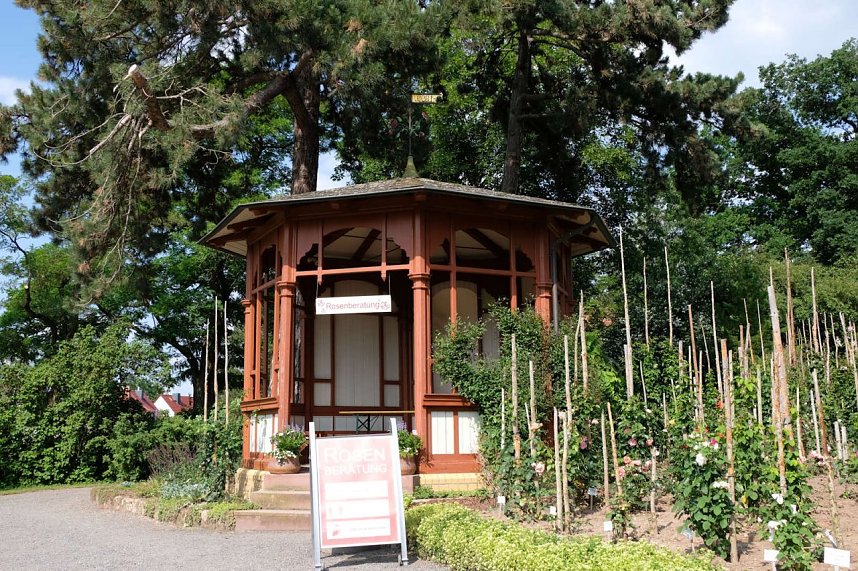 Kr&ouml;nung der Rosenk&ouml;nigin in Sangerhausen