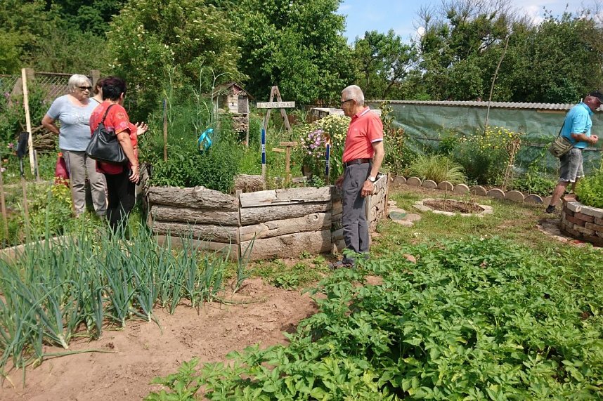 Tag der "Offenen G&auml;rten" -Gartenverein GL&Uuml;CKAUF