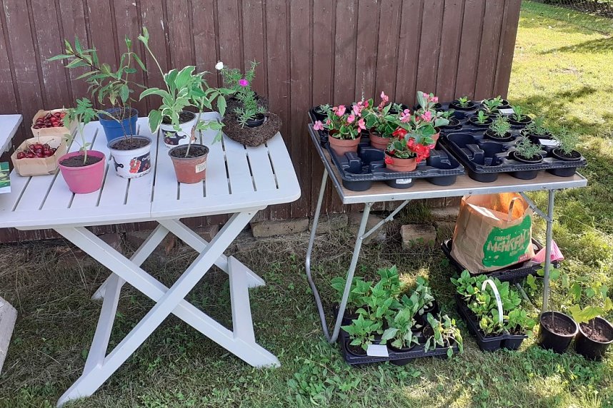 Tag der "Offenen G&auml;rten" -Gartenverein GL&Uuml;CKAUF