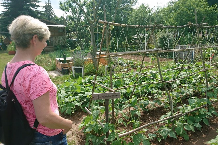 Tag der "Offenen G&auml;rten" -Gartenverein GL&Uuml;CKAUF