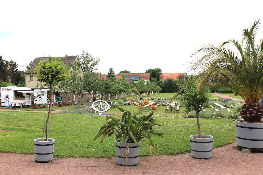 Orangerie in Bendeleben