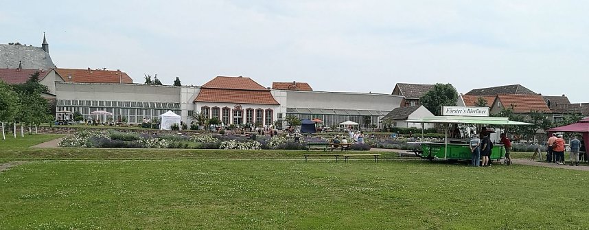 Rosenmarkt in Bendeleben 