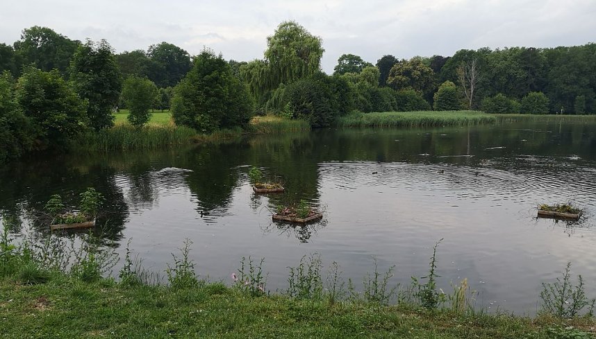 Rosenmarkt in Bendeleben 