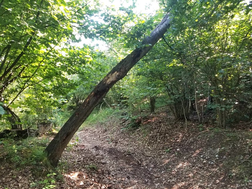 Der Weg ist das Ziel