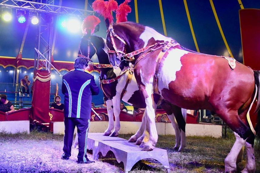 Zirkus Atlantik in Sundhausen