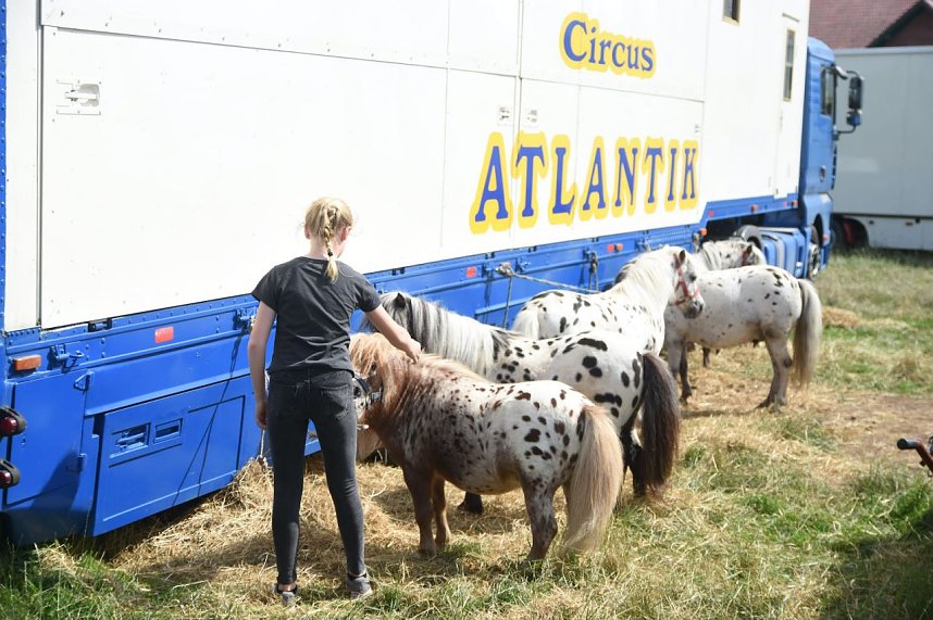 Zirkus Atlantik in Sundhausen