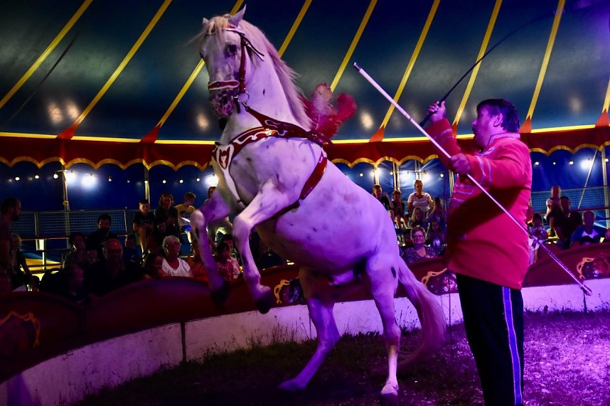 Zirkus Atlantik in Sundhausen