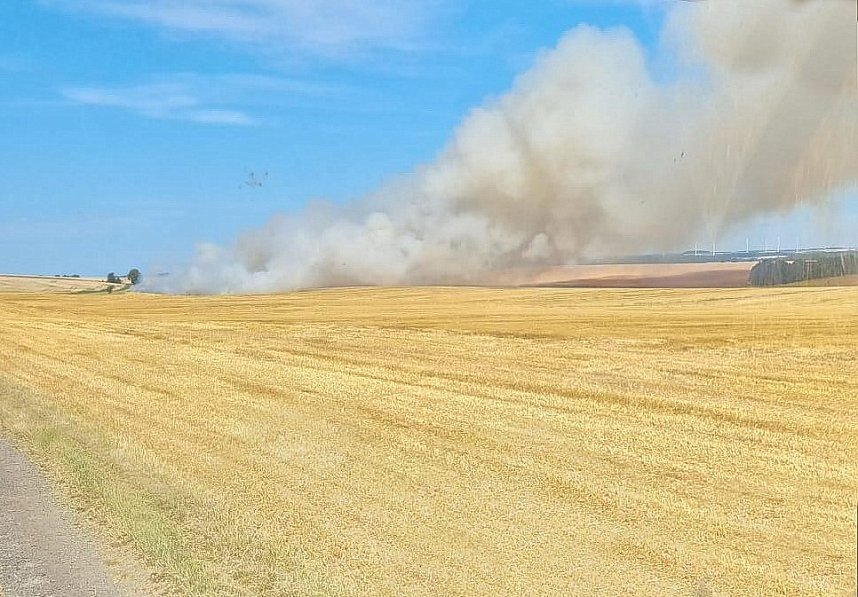 Feldbrand bei Allmenhausen