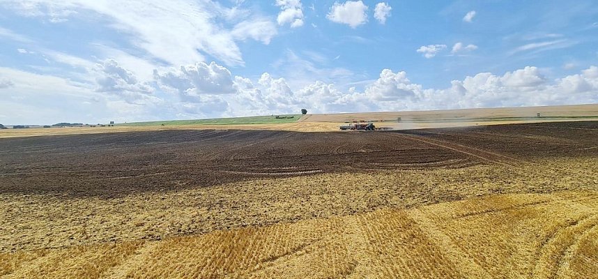 Feldbrand bei Allmenhausen