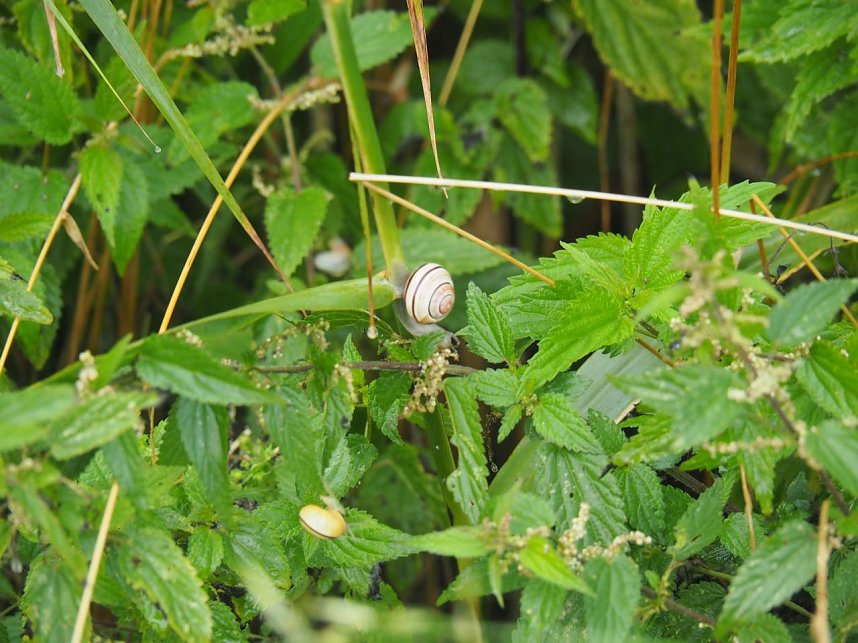 Spaziergang am Stausee