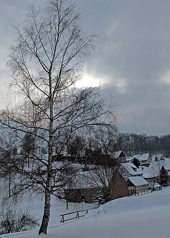 Wintergr&uuml;&szlig;e