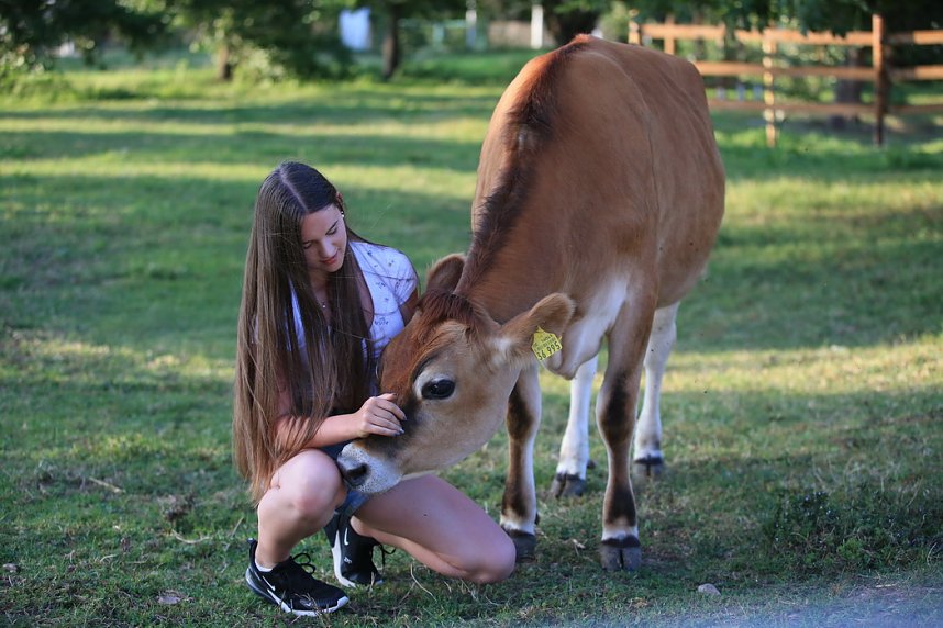 Eine ungew&ouml;hnliche Freundschaft