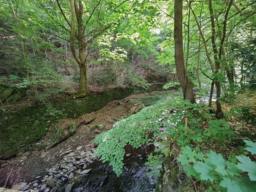 Vom M&auml;gdesprung zum Waldgagsthof