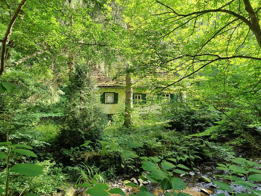 Vom M&auml;gdesprung zum Waldgagsthof