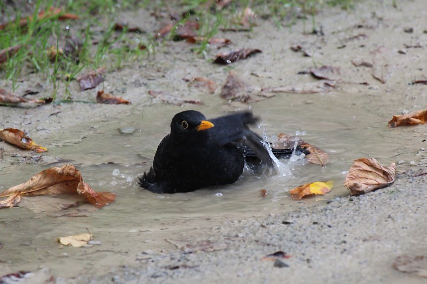 Wasserspiele und Abendlicht