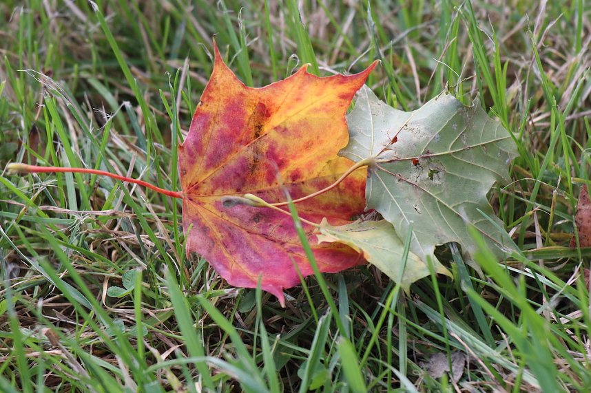 Wasserspiele und Abendlicht