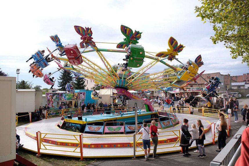Zwiebelmarkt in Artern