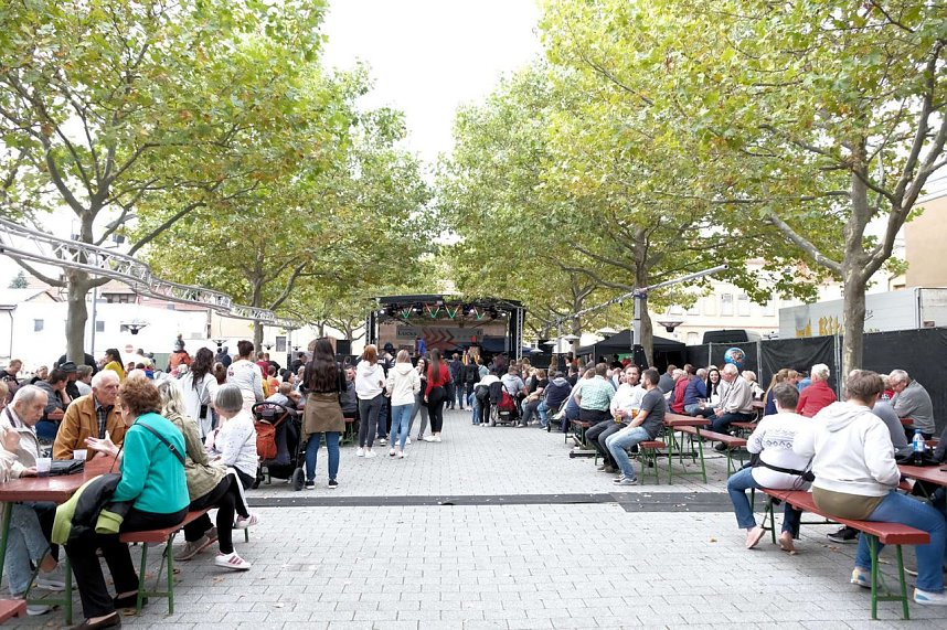 Zwiebelmarkt in Artern