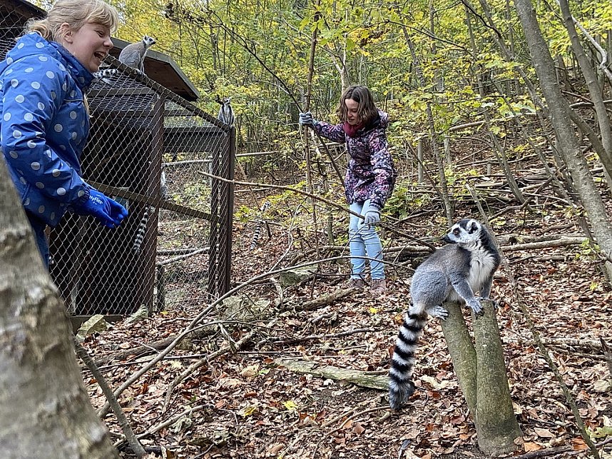 Arbeitseinsatz im Affenwald