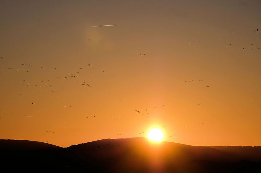 Kranichrast und Menschenauflauf