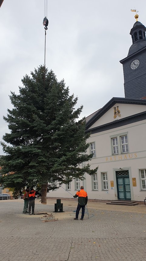 Weihnachtstanne wird von dem Frankenh&auml;user Rathaus aufgestellt
