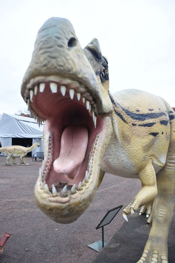 Dinosaurier-Ausstellung