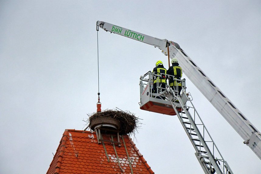 Bauarbeiten am Ringelebener Storchennest