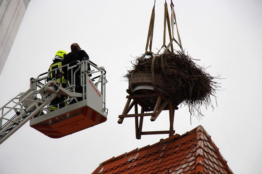 Bauarbeiten am Ringelebener Storchennest