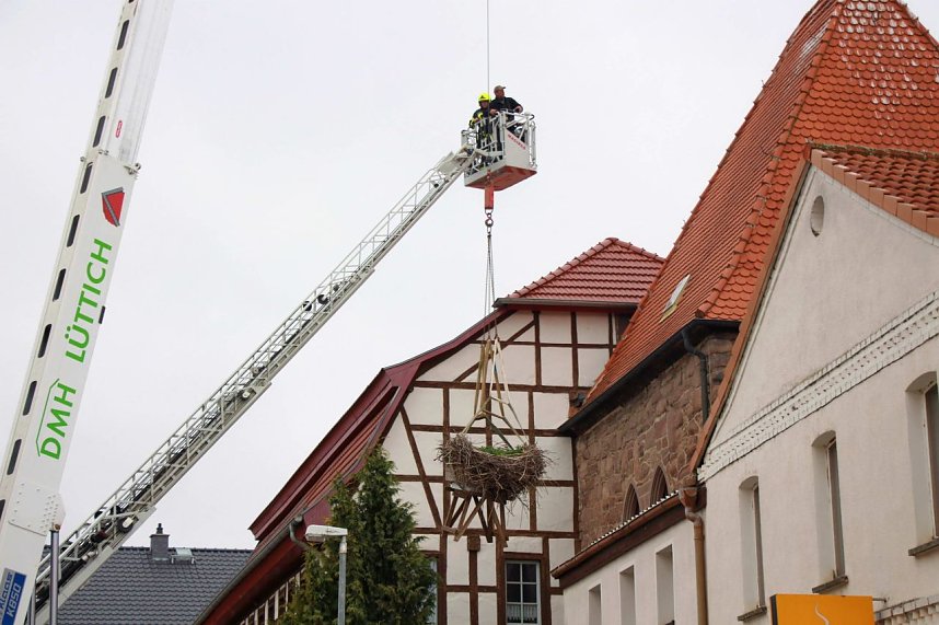 Bauarbeiten am Ringelebener Storchennest