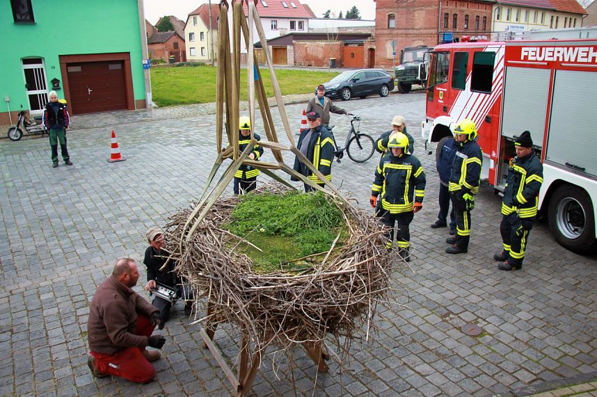 Bauarbeiten am Ringelebener Storchennest