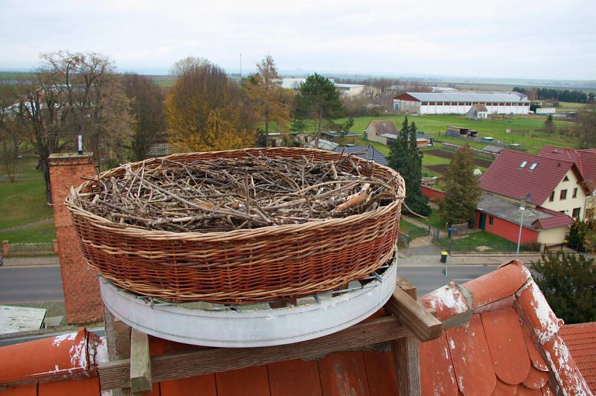 Bauarbeiten am Ringelebener Storchennest