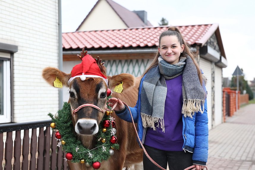 Adventsausflug mit dem Ochsen Tabaluga