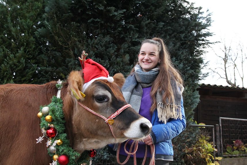 Adventsausflug mit dem Ochsen Tabaluga