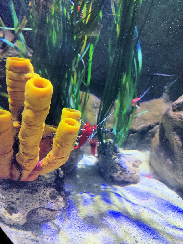 Jahreswechsel in der deutschen Hauptstadt