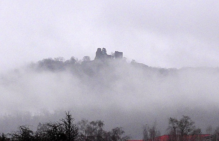 Erste Fr&uuml;hlingsboten in Kelbra