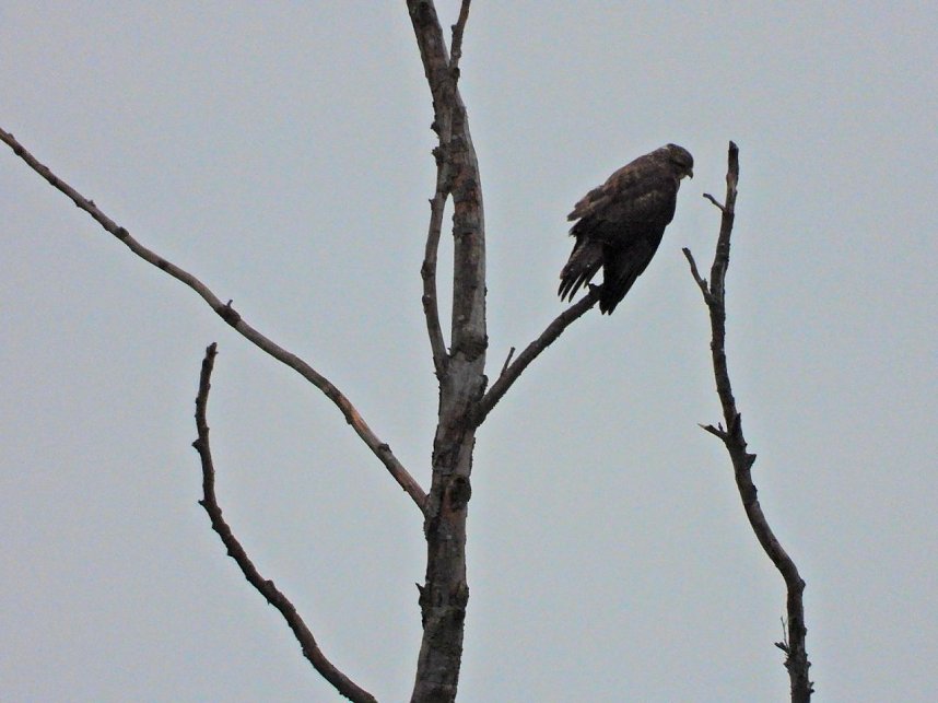 Peter Blei unterwegs am Stausee Kelbra