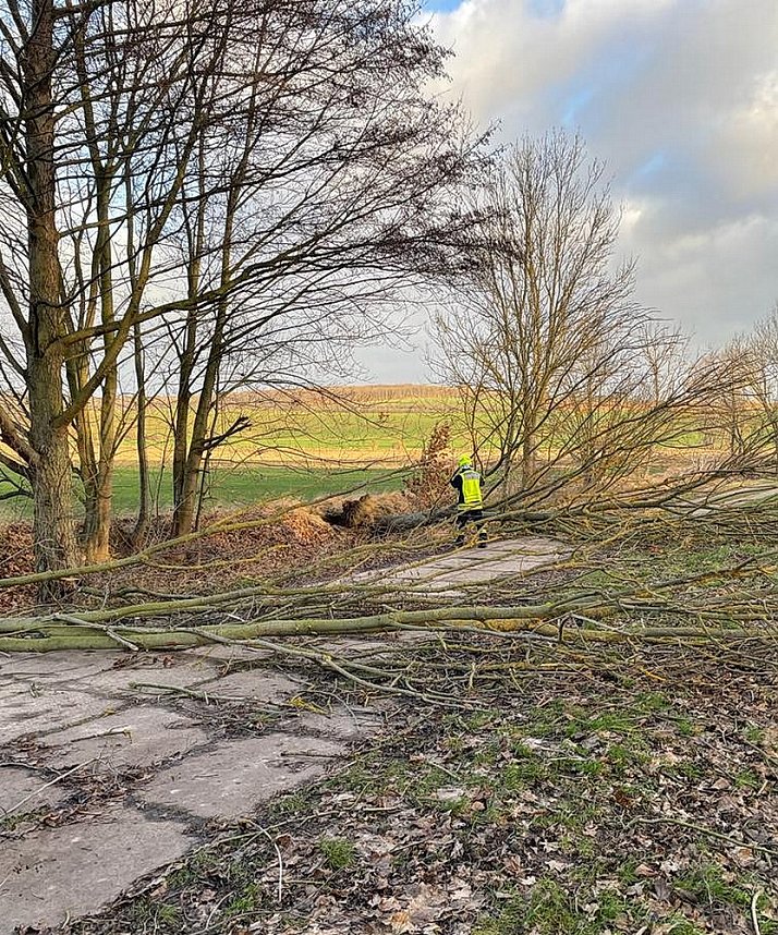 Sturmtief Nadja hinterlie&szlig; nur geringe Sch&auml;den