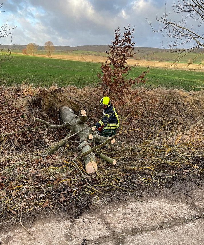 Sturmtief Nadja hinterlie&szlig; nur geringe Sch&auml;den