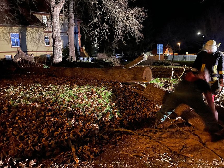 Sturmtief Nadja hinterlie&szlig; nur geringe Sch&auml;den