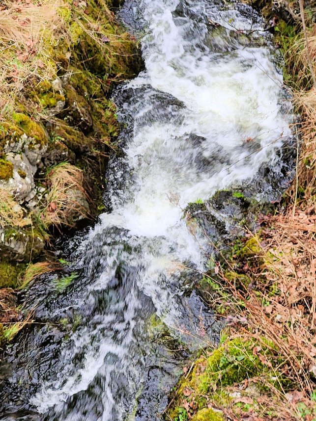 Sonntags in Stiege/Harz