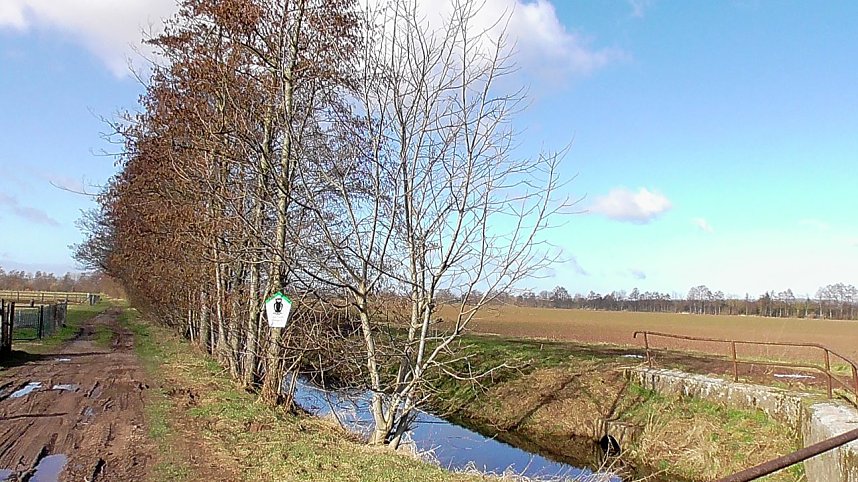 Unterwegs in der Goldenen Aue