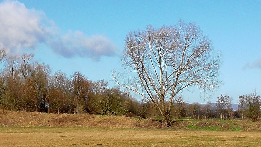 Unterwegs in der Goldenen Aue